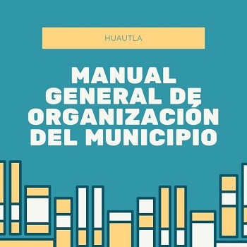 Manual de Organización