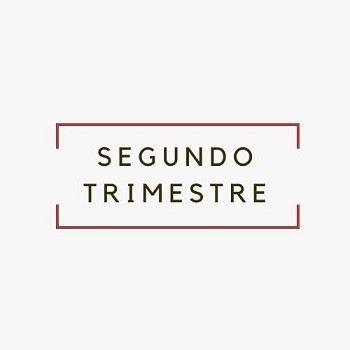 Segundo Trimestre 2020